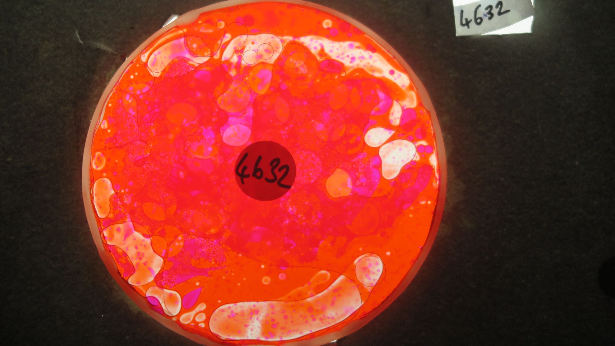 BV4632 bubble vision oil wheel